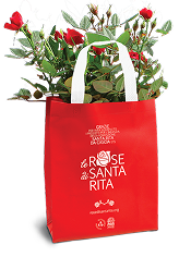 Rose di Santa Rita